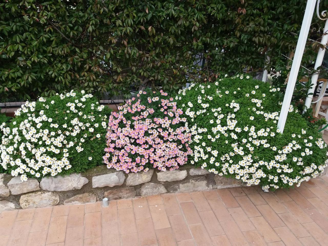 مبيت وإفطار فيكو إيكوينس Garden On The Sea المظهر الخارجي الصورة